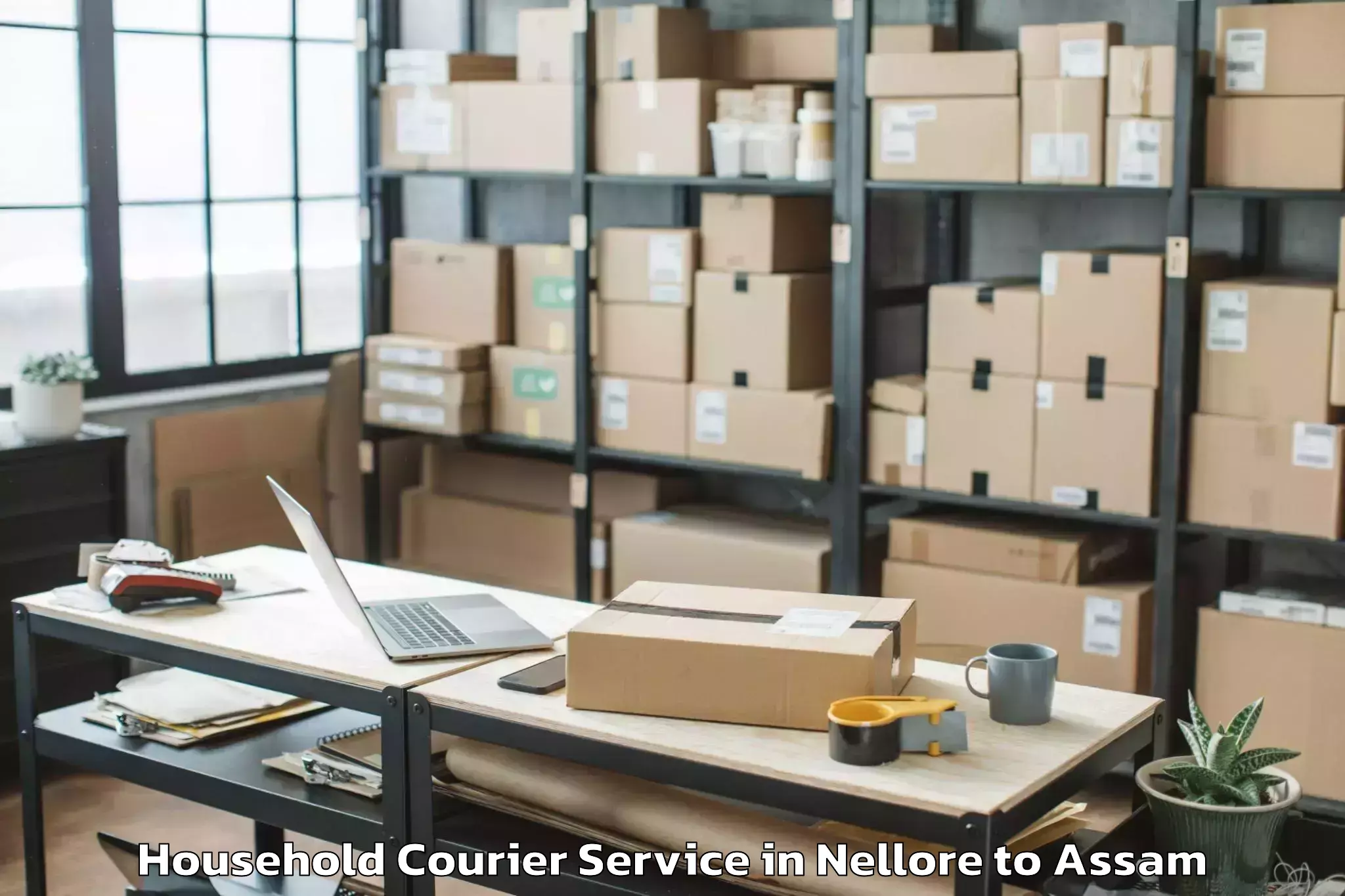 Reliable Nellore to Golakganj Household Courier